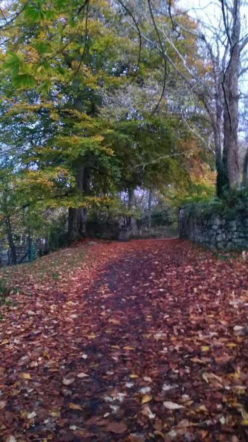 Mill Lane Daire Buncrana Dış mekan fotoğraf